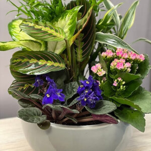 Blossoms in Bloom Planter - 10 inch