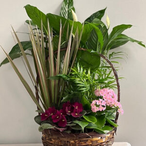 Palatial Planter